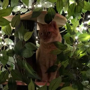 Meet your Posher, Theresa